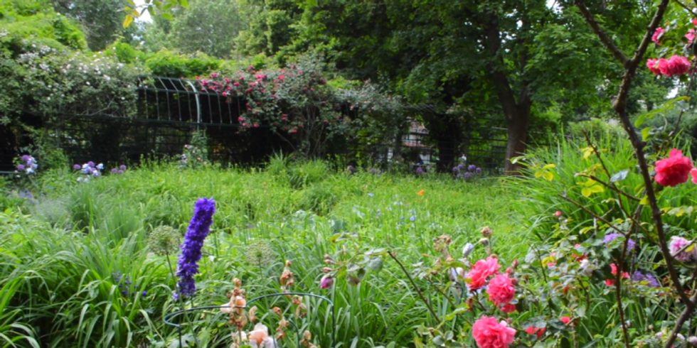 Lietzenseepark Blumenbeet 219. Kiezspaziergang