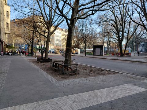 Entsiegelte Flächen um Bäume