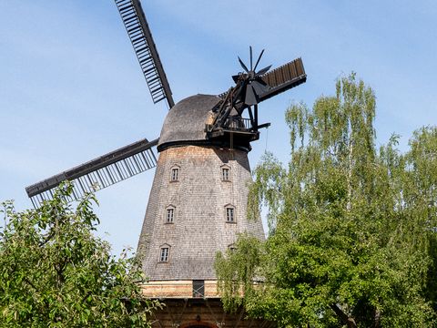 Buckower Mühle vom Zaun aus mit Rose