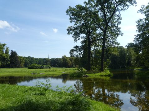 Der wiederhergestellte Teich im Landschaftspark mit dem Schäferberg im Hintergrund (Bild: Henningsen Landschaftsarchitekten)