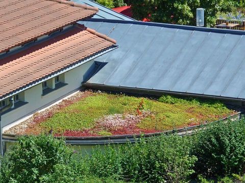 begrünte Dachfläche