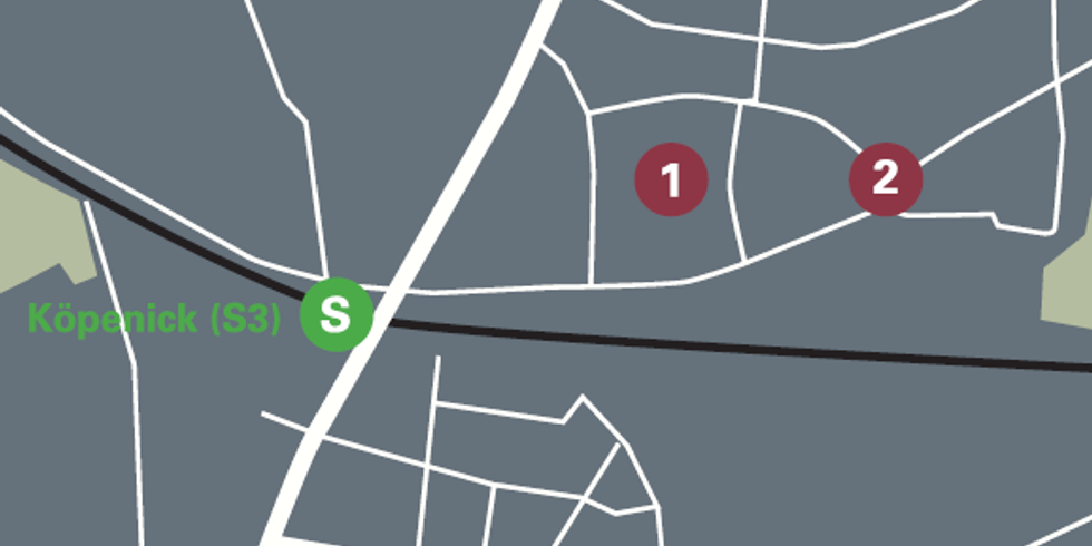 Interventionen, Gedenktag, 21. Juni 2018, 1933, "Köpenicker Blutwoche", öffentlicher Raum, Aktives Museum e.V., Museen Treptow-Köpenick