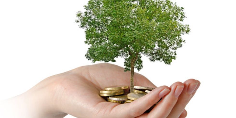 Palms with a tree growng from pile of coins