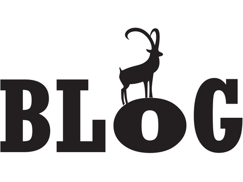 Logo: Schriftzug "BLOG" mit stilisiertem Steinbock auf dem plattgedrückten Buchstaben O
