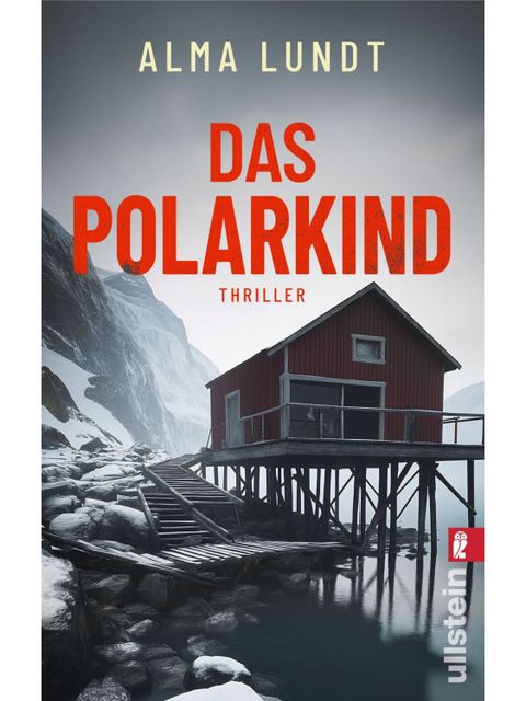 E-Bookcover „Das Polarkind“ (Bild: Ullstein Verlag)