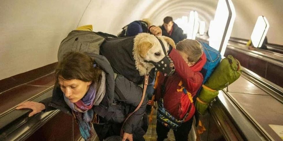 Frau mit Hund auf dem Rücken tragend und Kind mit Gepäck auf einer Rolltreppe