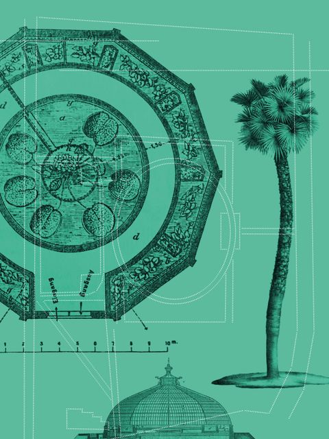 „Grüne Spuren“ Ein Audiowalk über den ersten Botanischen Garten Berlins