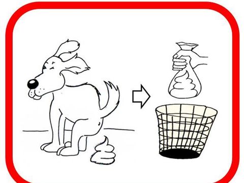 (Bild: Caroline Maik)