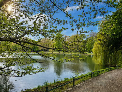 Lietzensee, April 2026