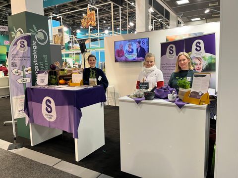 Drei Frauen stehen hinter einem Messestand, auf dem Stand stehen Mörser, Kräuter und verschiedene Flyer