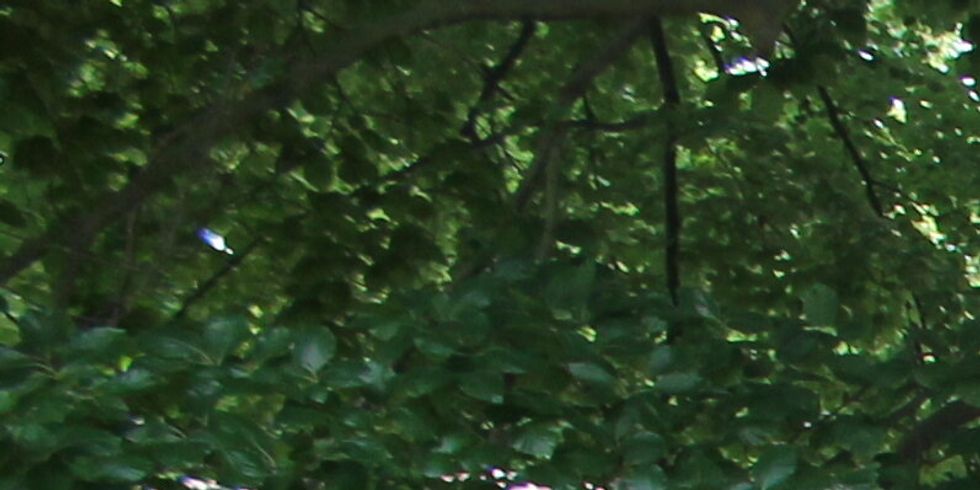 Pergola mit Trinkbrunnen