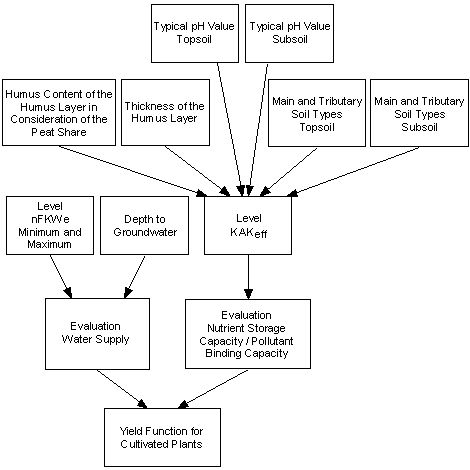 Figure 1: Plan for the evaluation of the yield function for cultivated plants