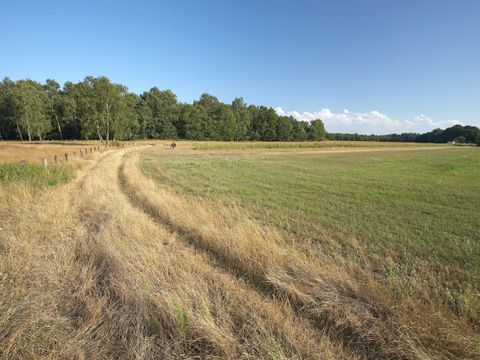 NSG Eiskeller und Spandauer Luchwald
