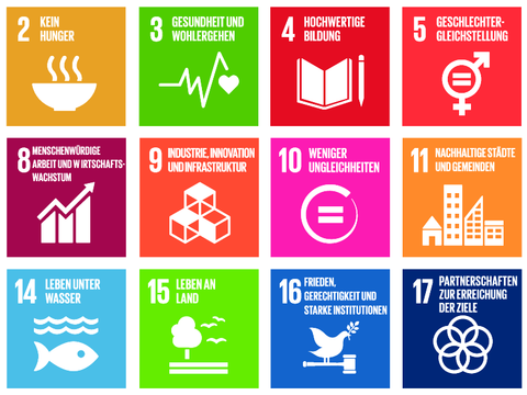 Grafik mit 15 farbigen Symbolen der UN-Nachhaltigkeitsziele (SDG)