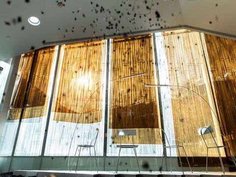 Climate Chairs by Gonzalez Haase AAS (Bild: Javier Jimeno)