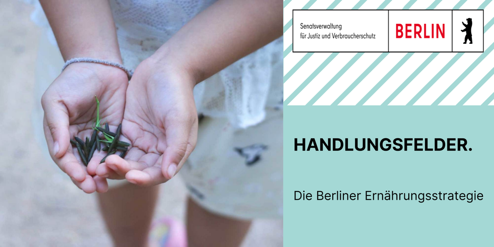 Banner Handlungsfelder der Beriner Ernährungsstrategie