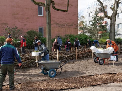 Die Benjeshecke wurde mit Resten aus dem Baumbeschnitt befüllt.