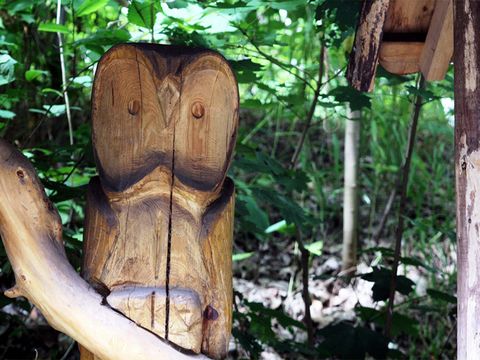 Willkommen in der Mediathek