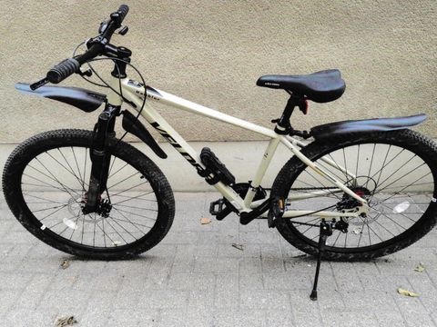 Beiges Herrenfahrrad