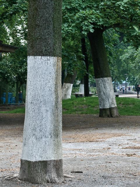 silke-panknin_was-ist-das-eigentlich-fuer-eine-eigenartige-und-verrueckte-geschichte-mit-den-grenzen