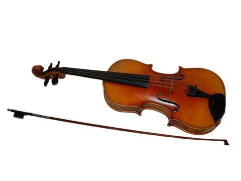 Viola