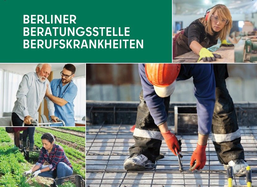 Beratungsspektrum Berufe