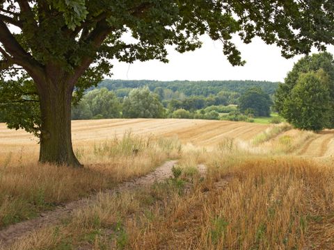 Landschaftsschutzgebiet „Lübarser Felder“