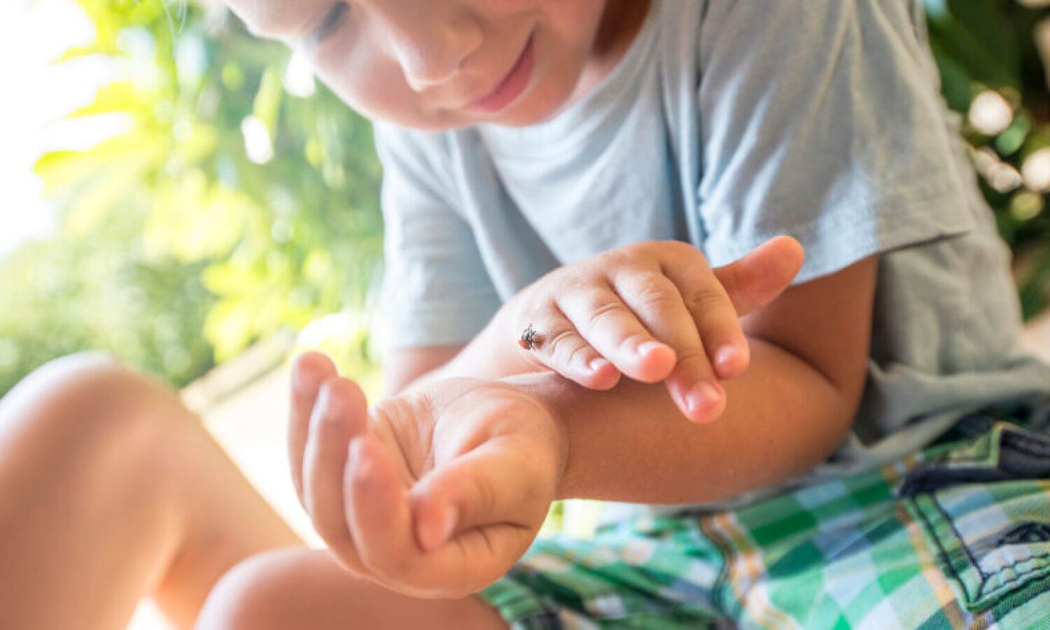 Junges Kind einen Marienkäfer Prüfung