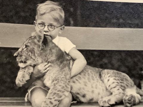 Peter Haas als kleiner Junge mit einer jungen Löwin im Berliner Zoo