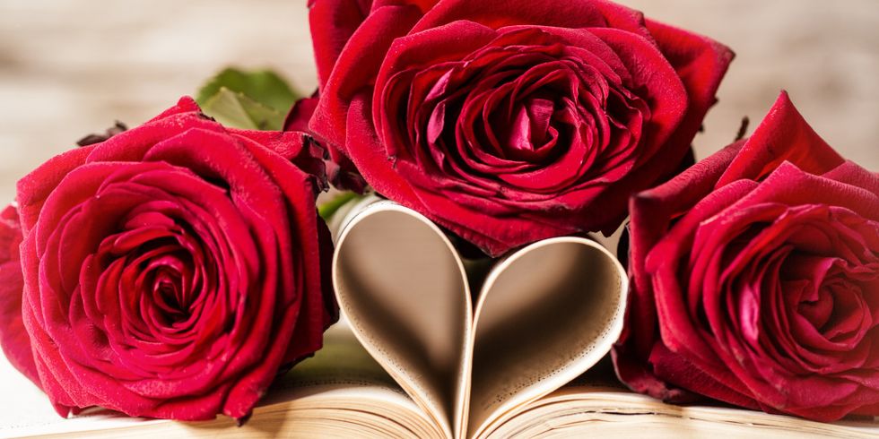 Drei rote Rosen bedecken ein aufgeschlagenes Buch, dessen Seiten ein Herz formen