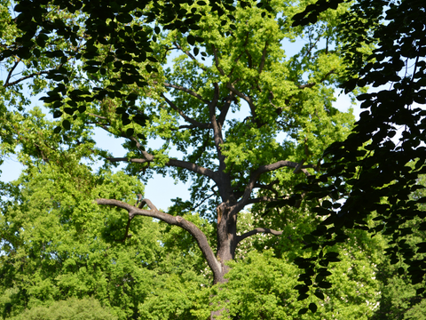 Klimaschutz externe Ziele 2