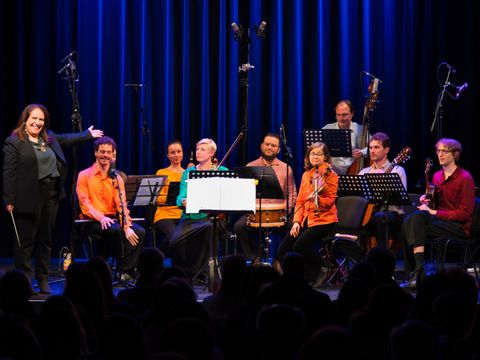 Brasil Ensemble Kammerorchester