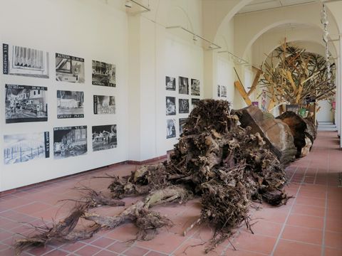 Ein umgefallener Baum liegt auf einem roten Fliesenboden. Im HIntergrund eine leicht gelbe Wand mit neun Bildern übereinander in schwarz/weiß. Es handelt sich um eine Kunstinstalation