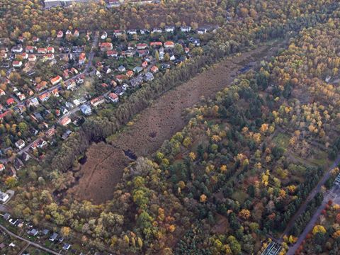 Luftbild (Bild: Bruno D'Amicis)