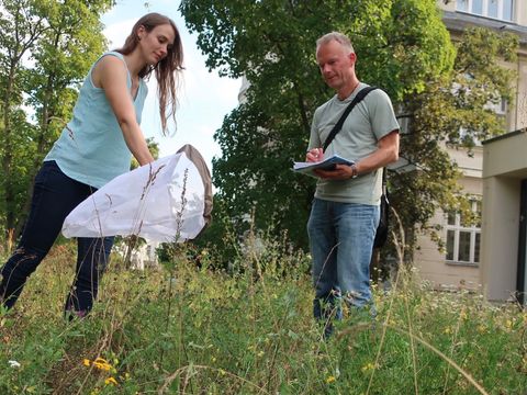 (Bild: Rebecca Rongstock)