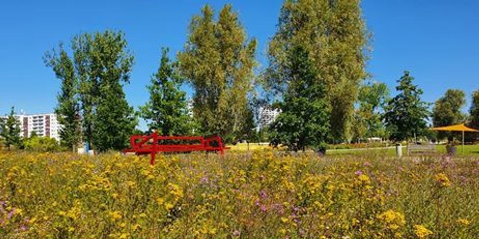 Die Rote Bank am neuen Standort am Wiesenmeer