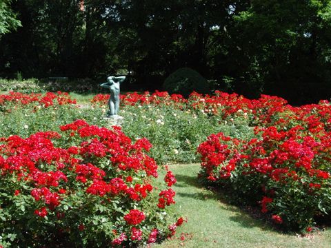 Foto des Stadtparks Steglitz