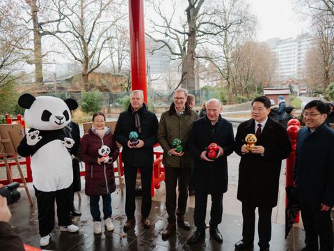 Namenstaufe der Panda-Zwillinge