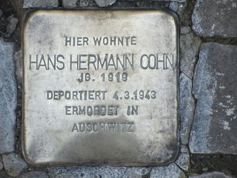 Stolperstein Hans Hermann Cohn, Foto: F. Siebold, Juni 2013