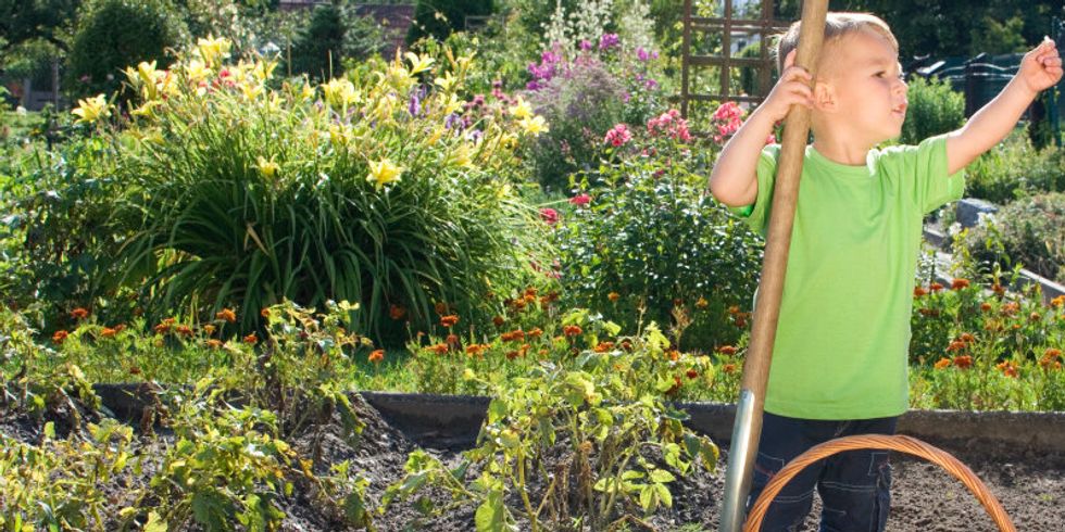 Kind im Garten mit Korb voller Kartoffeln