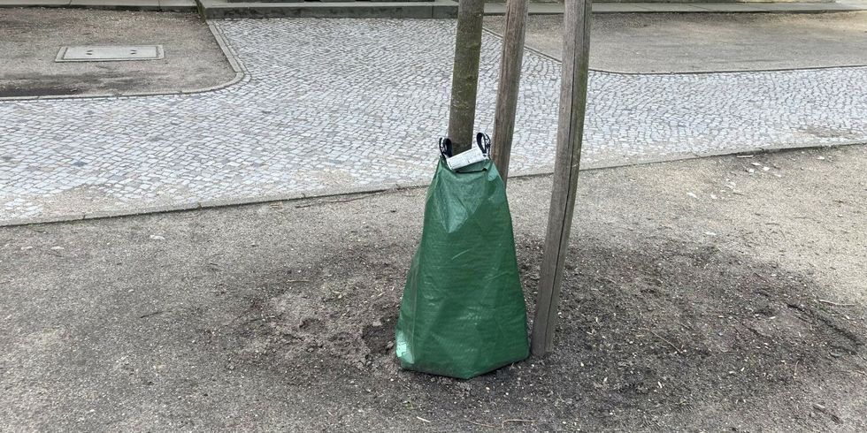 Baum mit Gießsack