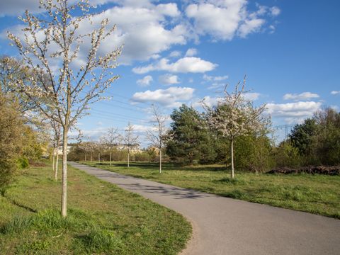 Obstbaumwiese