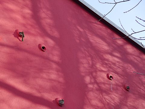 Nisthilfen für Spatzen an der Jugendkunstschule Lichtenberg