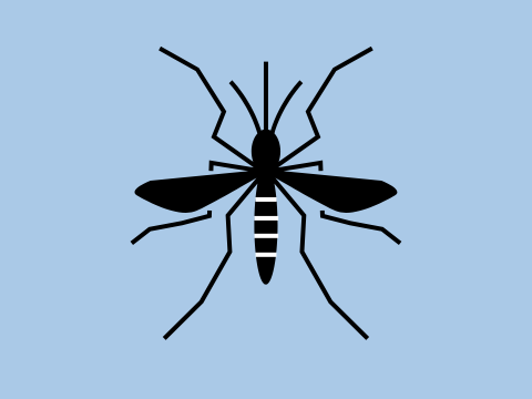 Tigermücken