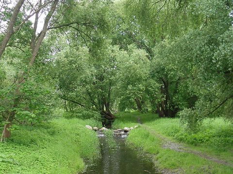 Blick auf den Karower Feldgraben