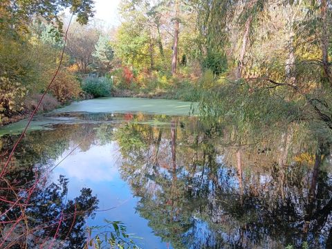 Flohteich sensburger Allee