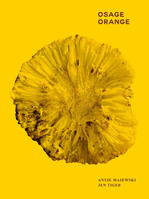 Osage Orange