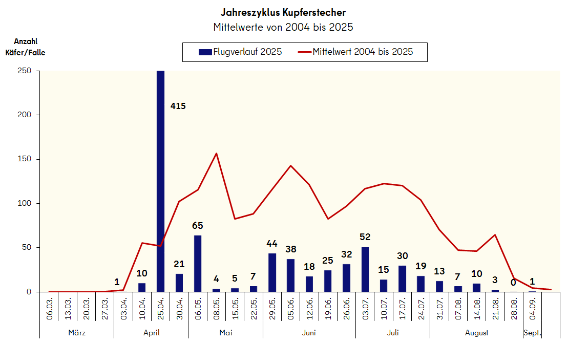Flugverlauf des Kupferstechers im Berliner Stadtgebiet 2025 im Vergleich zum mittleren Flugverlauf