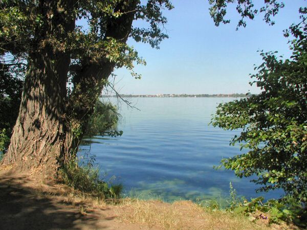 Blick auf den Müggelsee