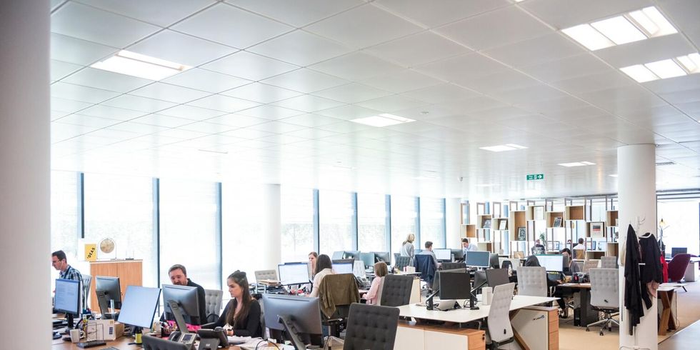 Großraumbüro mit Personen, die an ihren Schreibtischen am PC arbeiten.